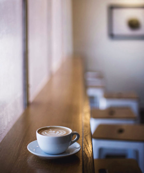 Normandie Désinsectisation à Bayeux : nous contacter